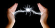 Lightning in her Hands