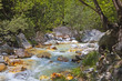 Pozar river at north Greece near Aridaia city Pozar river at north Greece near Aridaia city
