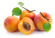 Apricot with leaves Apricot with leaves