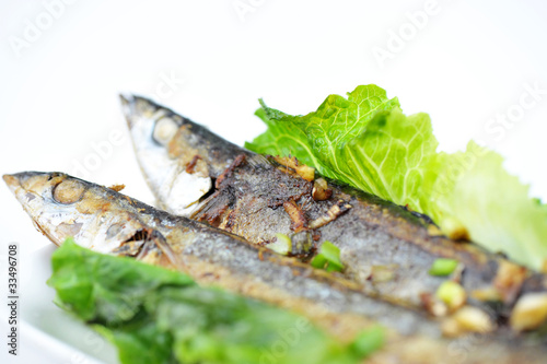 Photo: grilled saury on white plate grilled saury on white plate