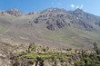 Malata Colca Canyon