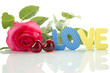 Red Rose and the text of "LOVE"