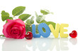 Red Rose and the text of "LOVE"