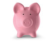 Piggy