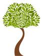 Tree illustration