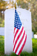 Last Salute