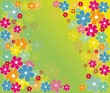 fleurs