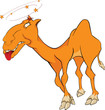 About a heat and a camel.Cartoon