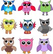 owls
