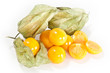 Mehrere Physalis Früchte auf weißem Hintergrund