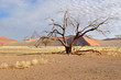 desert Namib dune 45,Namibia