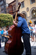 Musicista