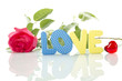 Red Rose and the text of "LOVE"
