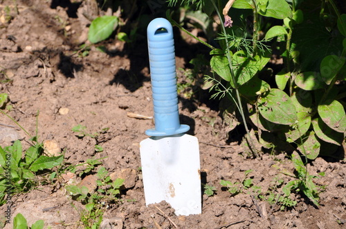 Photo: Shovel Shovel