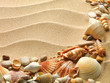 sea shells with sand as background