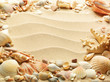 sea shells with sand as background
