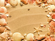 sea shells with sand as background