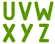 green grass letter uvwxyz isolated