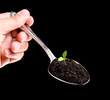 Organic food