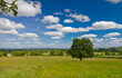 View of the hilly landscape in Cotswolds, Castleton, UK View of the hilly landscape in Cotswolds, Castleton, UK