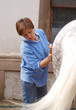 The girl cleans a horse.