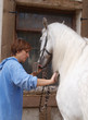 Rubdown at the stables.
