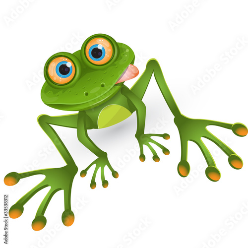 Vektor: frog frog