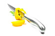 Yellow Sweet Pepper with Knife Isolation Yellow Sweet Pepper with Knife Isolation