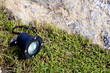 mini spotlight on land in garden