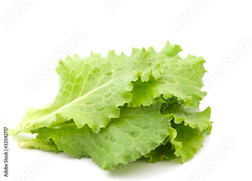 Photo: lettuce leaves lettuce leaves