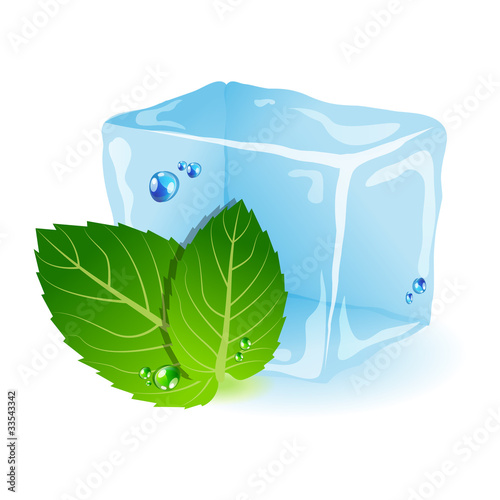 Vector: Mint with ice Mint with ice