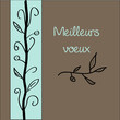 meilleurs voeux