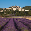 Village de Banon et ses champs de lavande