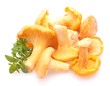 Pfifferlinge