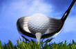 Golf club and ball in grass Golf club and ball in grass