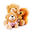 Plush toy animals isolated on a white background