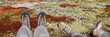 Chaussures de rando