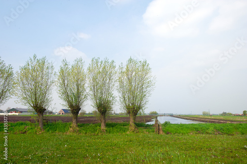 Photo: Dutch agriculture landscape Dutch agriculture landscape