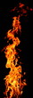 Feuer