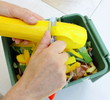 épluchures de légumes pour compost