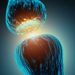 Synaptic transmission , 3d illustration