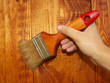 brush