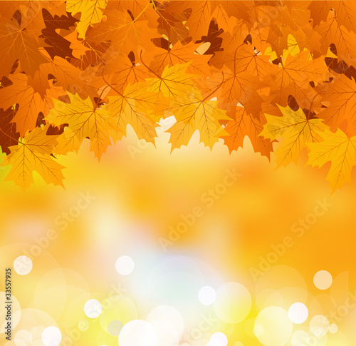 Vector: Vector autumn leaves on a bright sunny background Vector autumn leaves on a bright sunny background