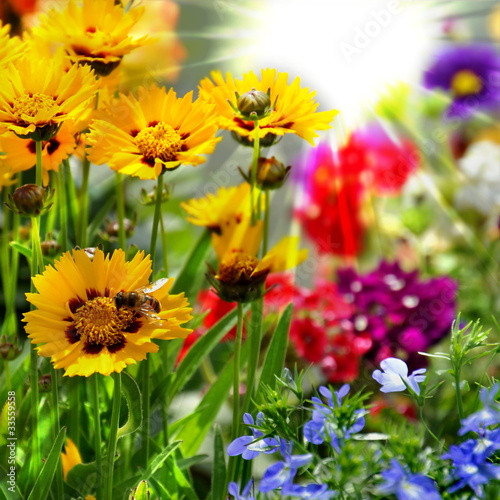 Photo: Blumenbeet Blumenbeet