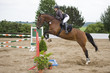 Springreiten