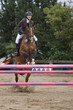 Springreiten