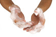 wash your hands wash your hands