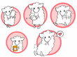 sheep-bring-up