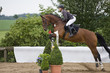 Springreiten
