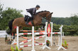 Springreiten